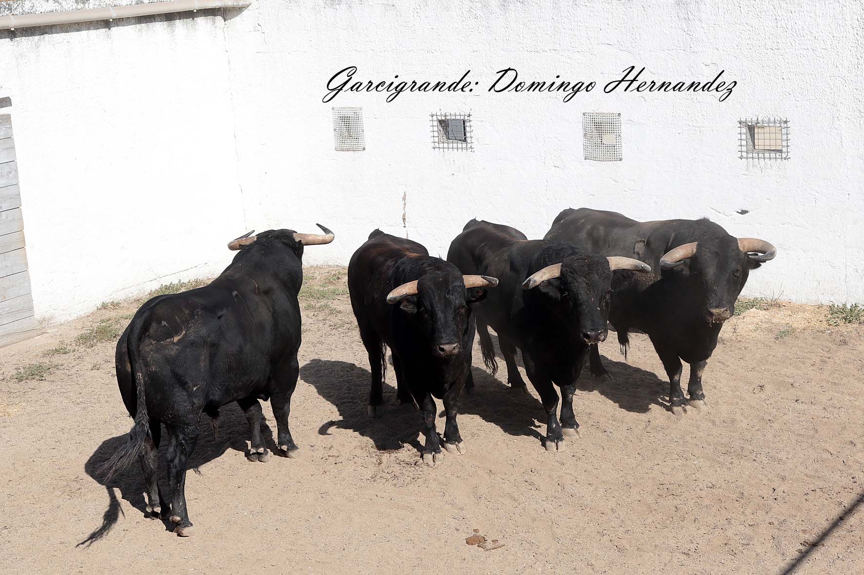 Garcigrande y Domingo Hernández