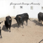 Garcigrande y Domingo Hernández