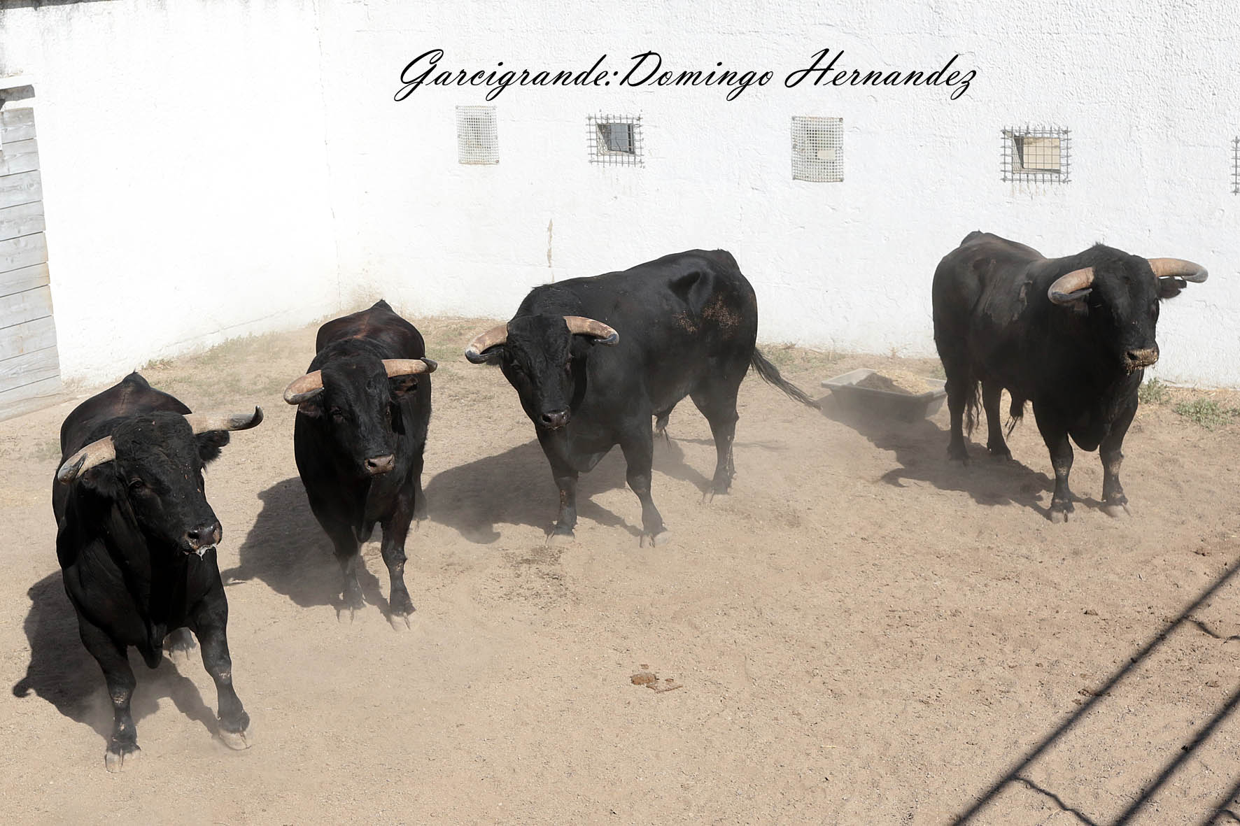 Garcigrande y Domingo Hernández