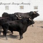 Garcigrande y Domingo Hernández