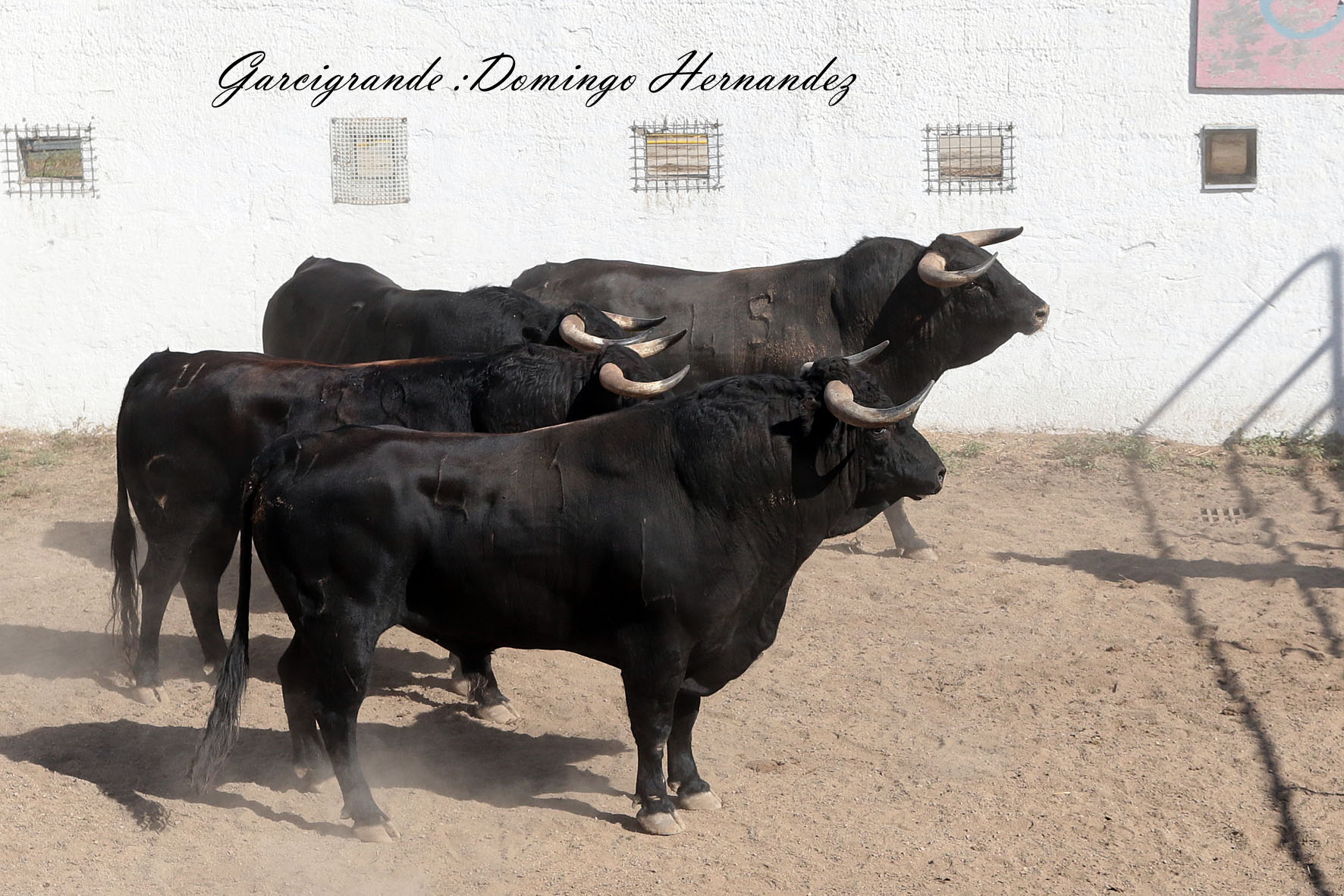 Garcigrande y Domingo Hernández