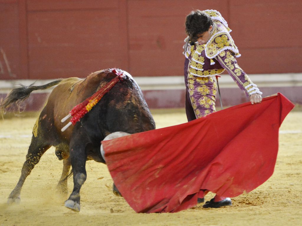 Utrera (Sevilla) - Sábado 8 de septiembre de 2018