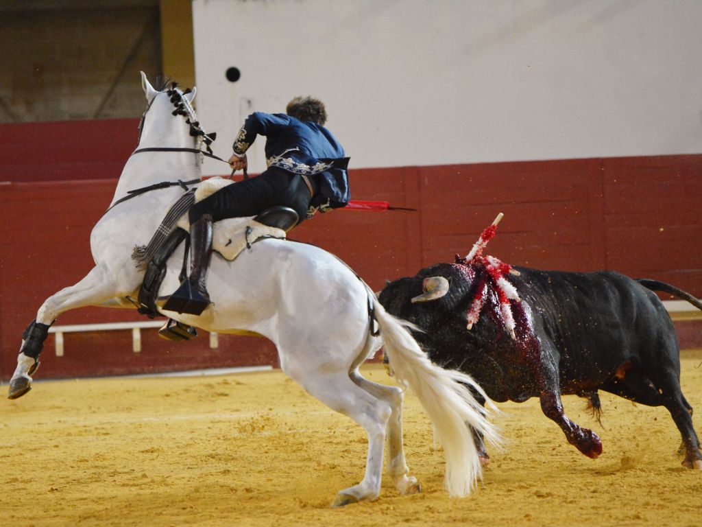 Utrera (Sevilla) - Sábado 8 de septiembre de 2018