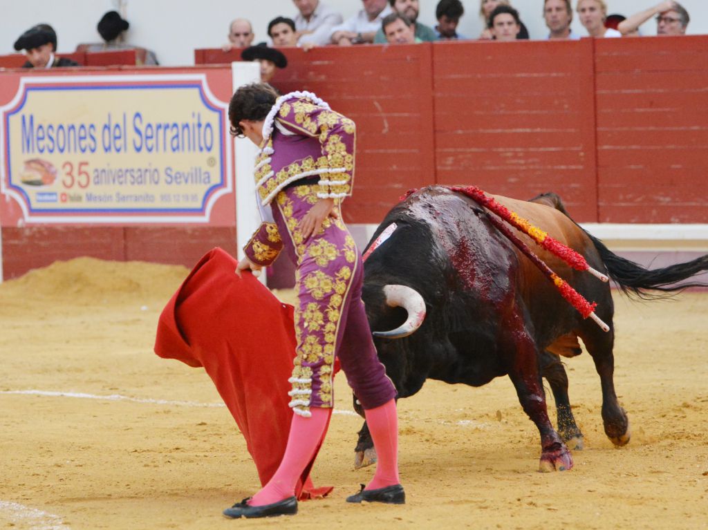 Utrera (Sevilla) - Sábado 8 de septiembre de 2018
