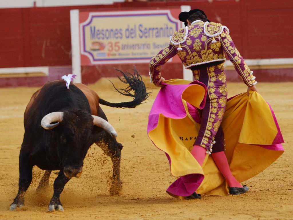 Utrera (Sevilla) - Sábado 8 de septiembre de 2018