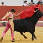 Utrera (Sevilla) - Sábado 8 de septiembre de 2018