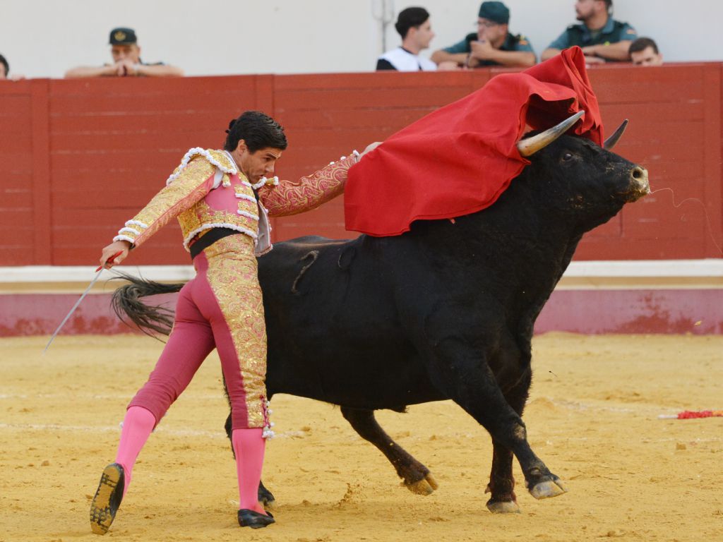 Utrera (Sevilla) - Sábado 8 de septiembre de 2018