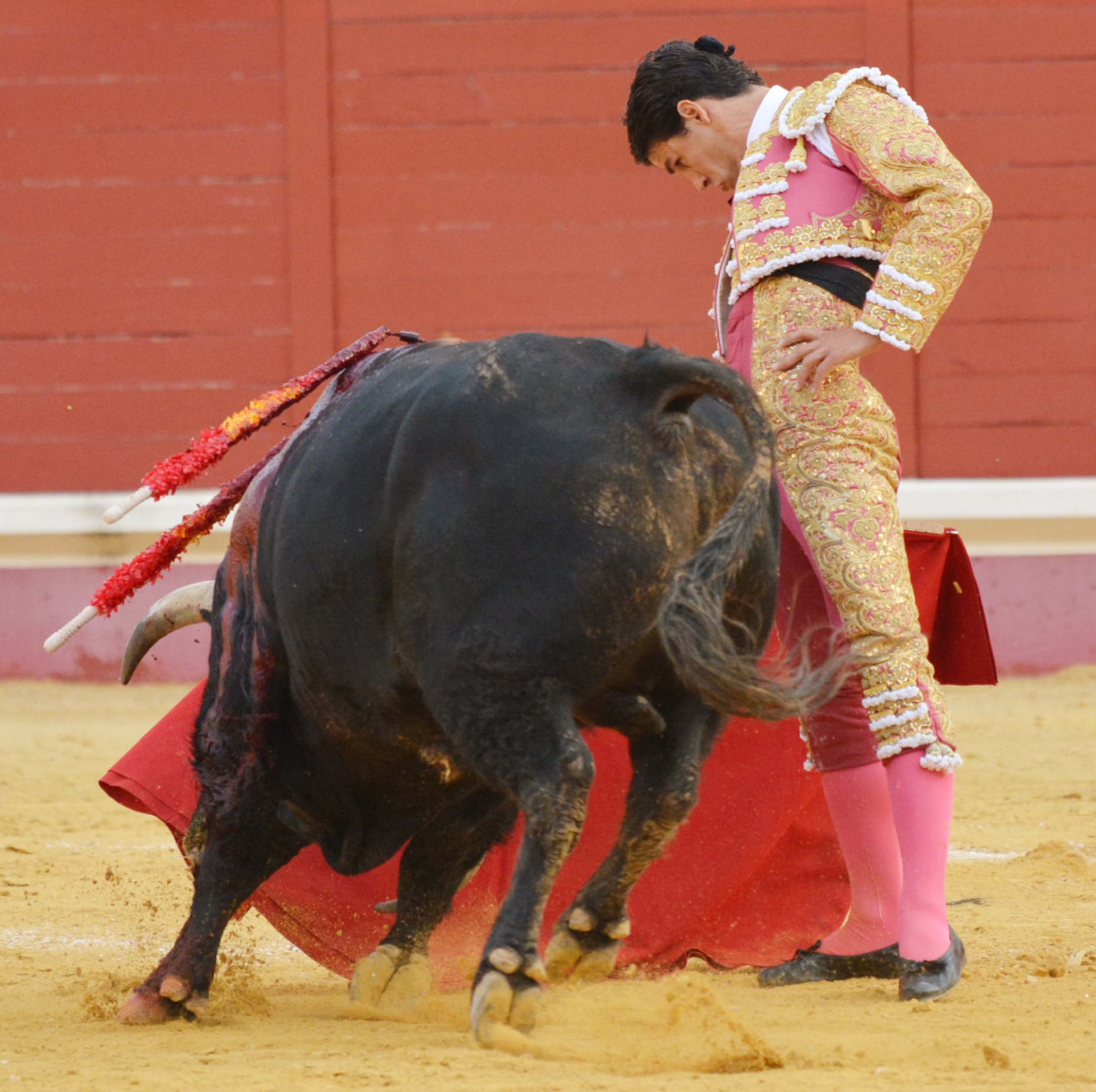 Utrera (Sevilla) - Sábado 8 de septiembre de 2018