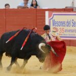Utrera (Sevilla) - Sábado 8 de septiembre de 2018