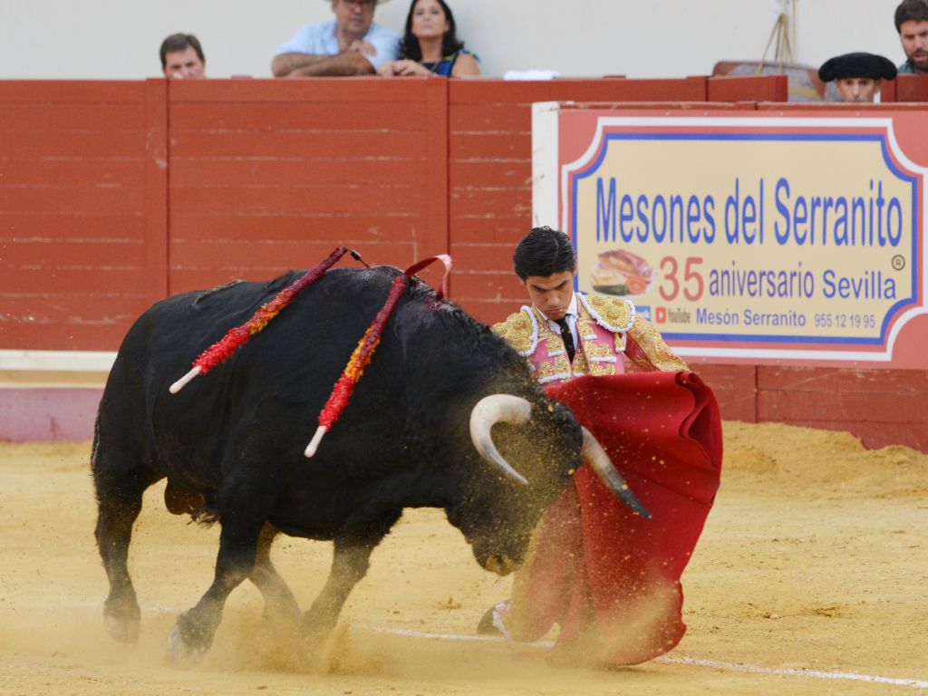 Utrera (Sevilla) - Sábado 8 de septiembre de 2018