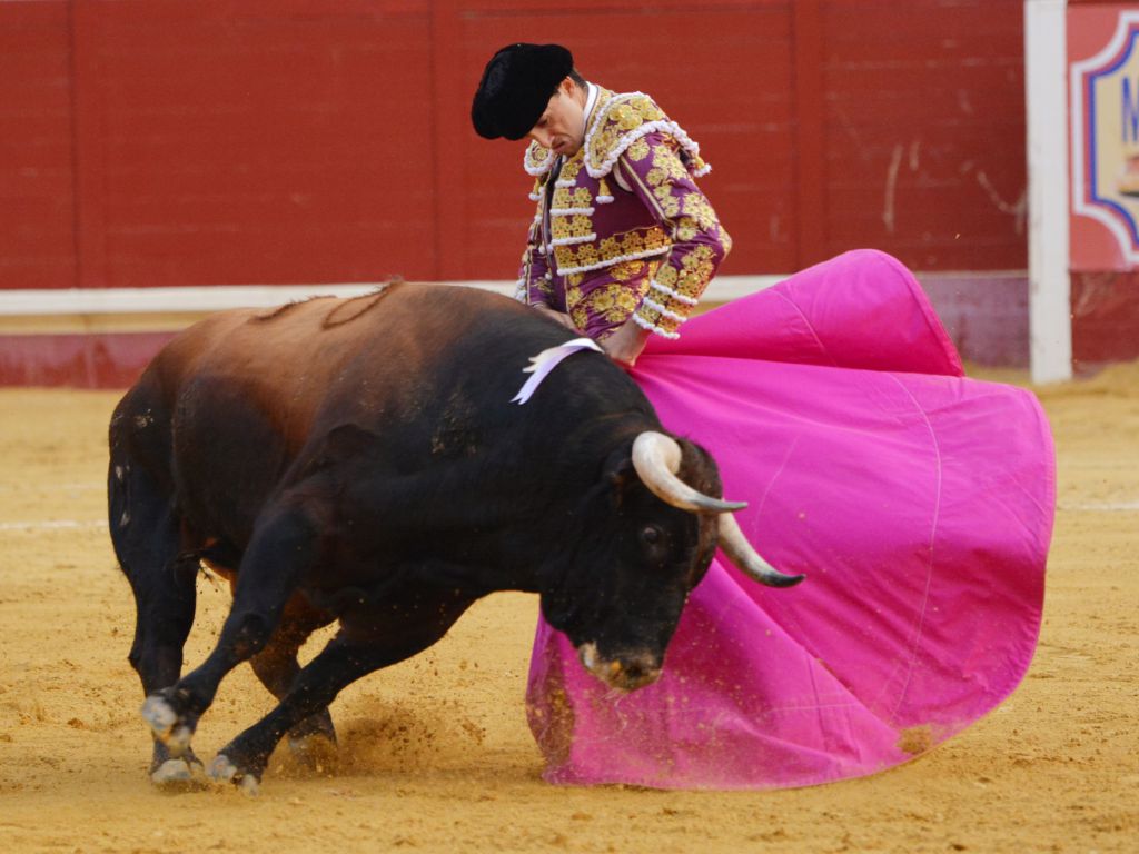 Utrera(Sevilla) - Sábado 8 de septiembre de 2018