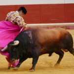 Utrera(Sevilla) - Sábado 8 de septiembre de 2018