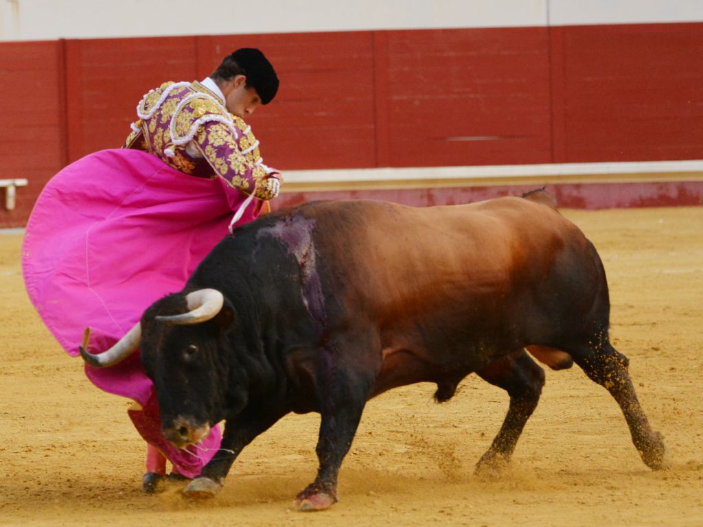 Utrera(Sevilla) - Sábado 8 de septiembre de 2018