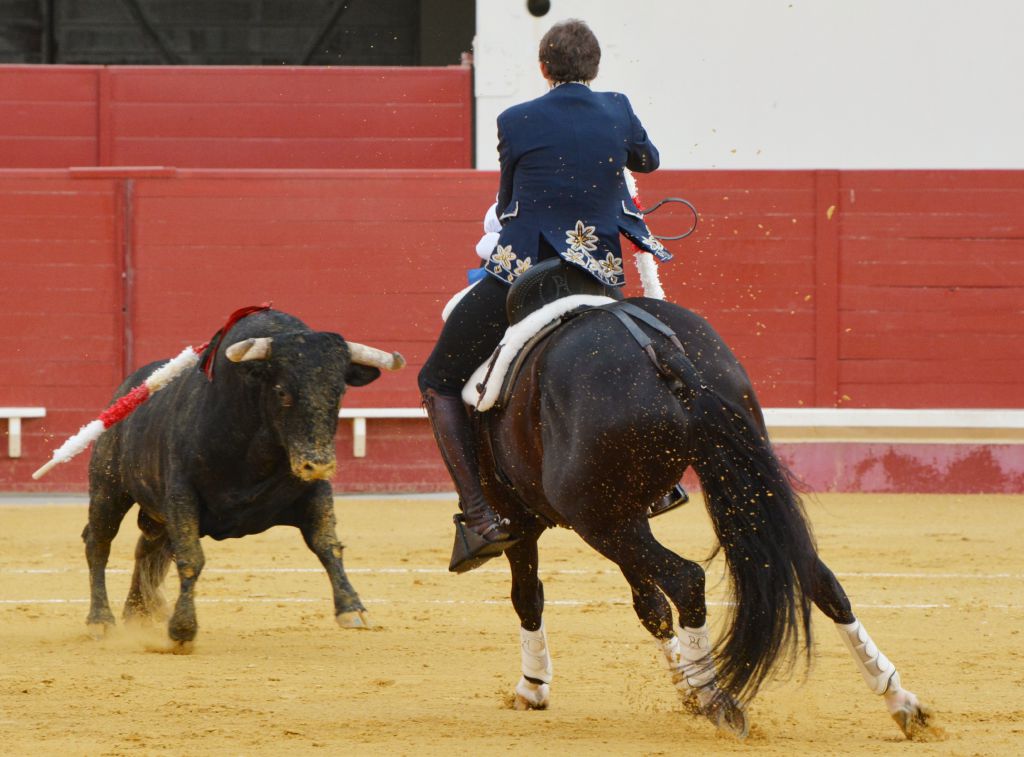 Utrera(Sevilla) - Sábado 8 de septiembre de 2018