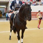 Utrera(Sevilla) - Sábado 8 de septiembre de 2018