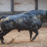 Sorteo, Madrid 23 de septiembre de 2018