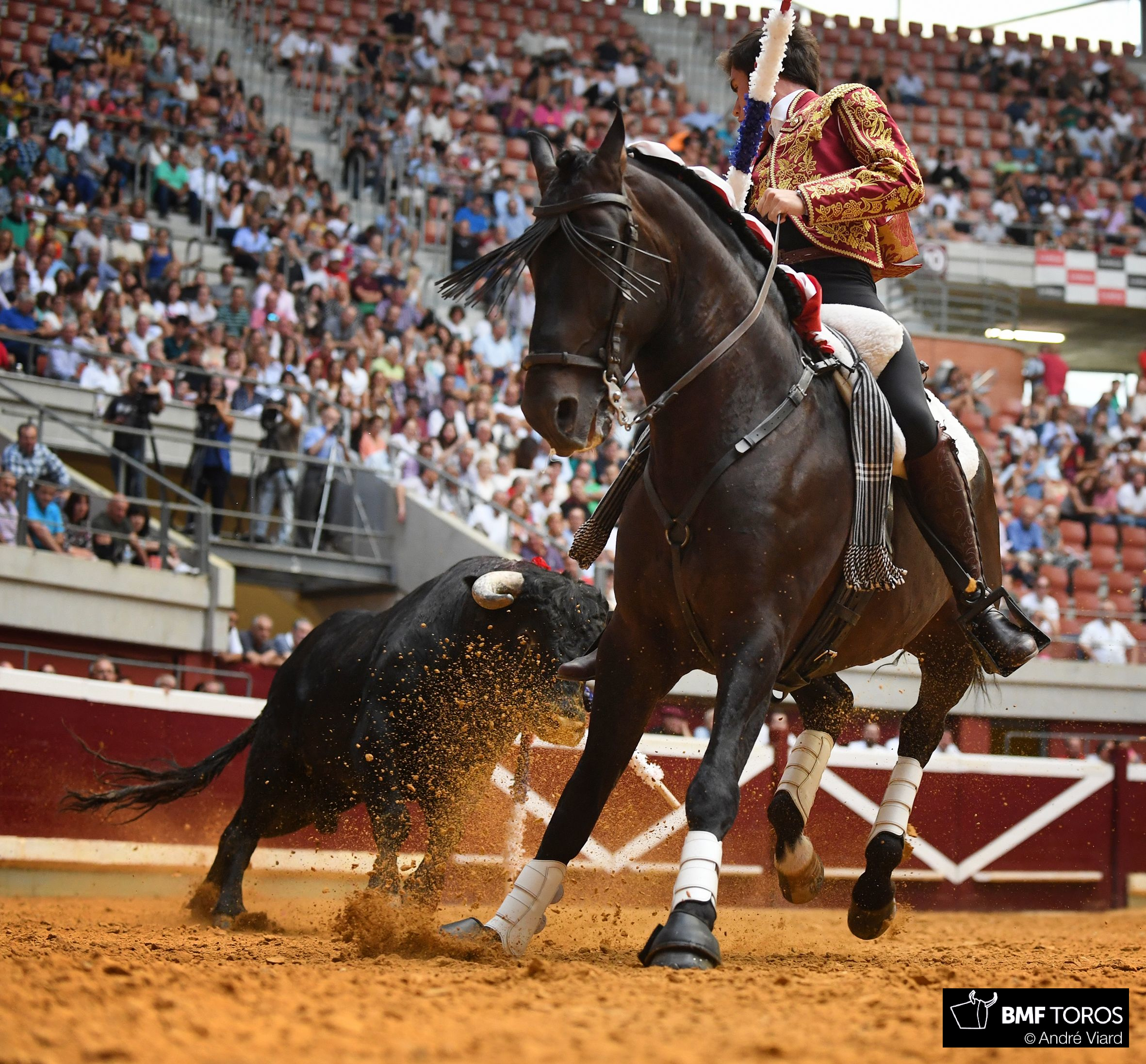 Logroño, 22 de septiembre de 2018