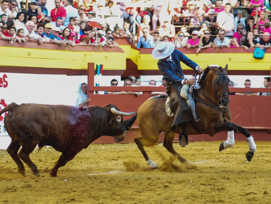 Algemesí, 22 de septiembre de 2018