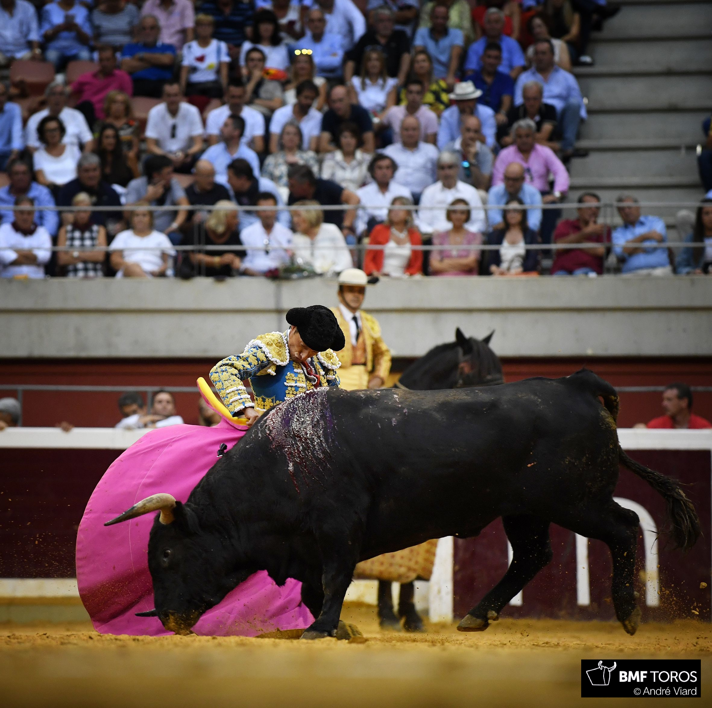 Logroño, 21 de septiembre de 2018
