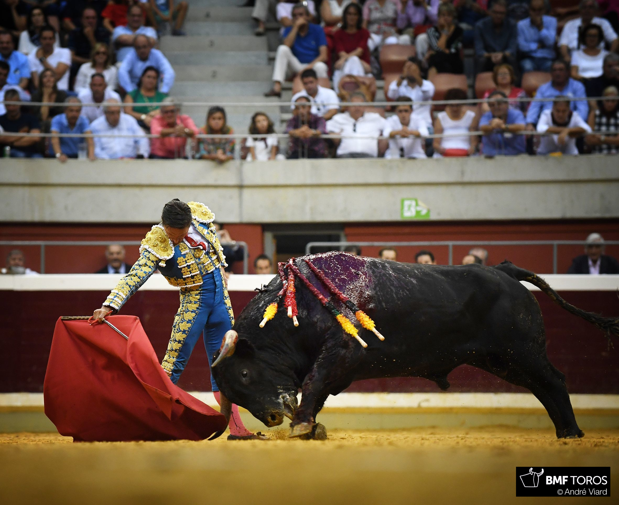 Logroño, 21 de septiembre de 2018