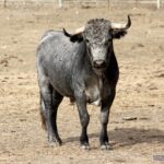 Bayona, 31 de agosto de 2018