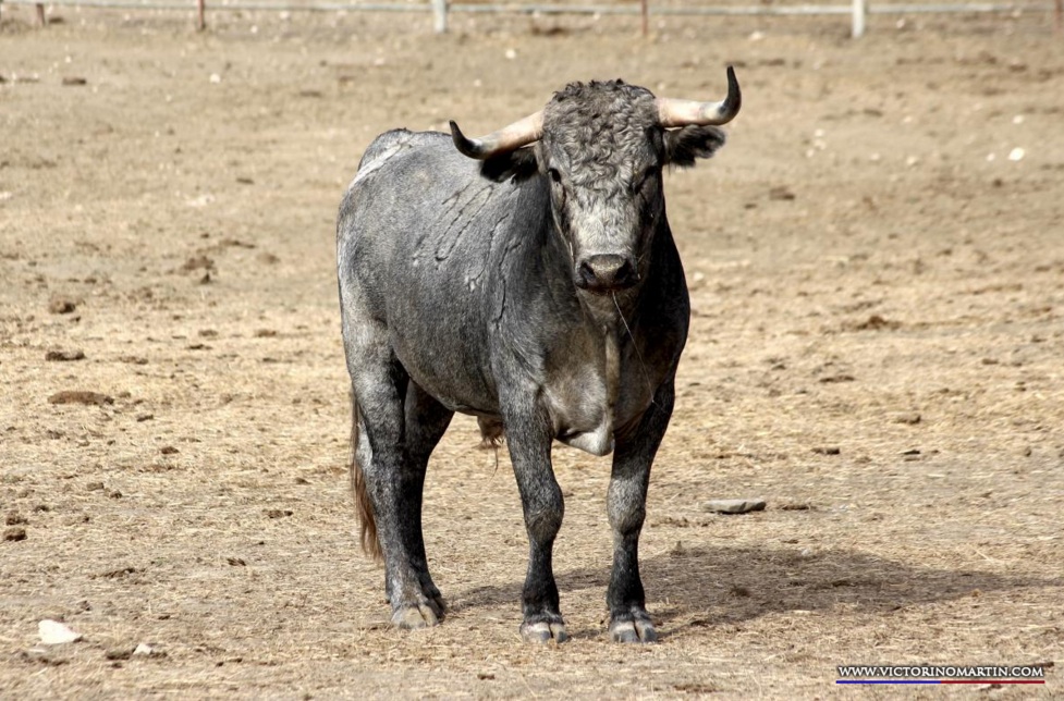 Bayona, 31 de agosto de 2018