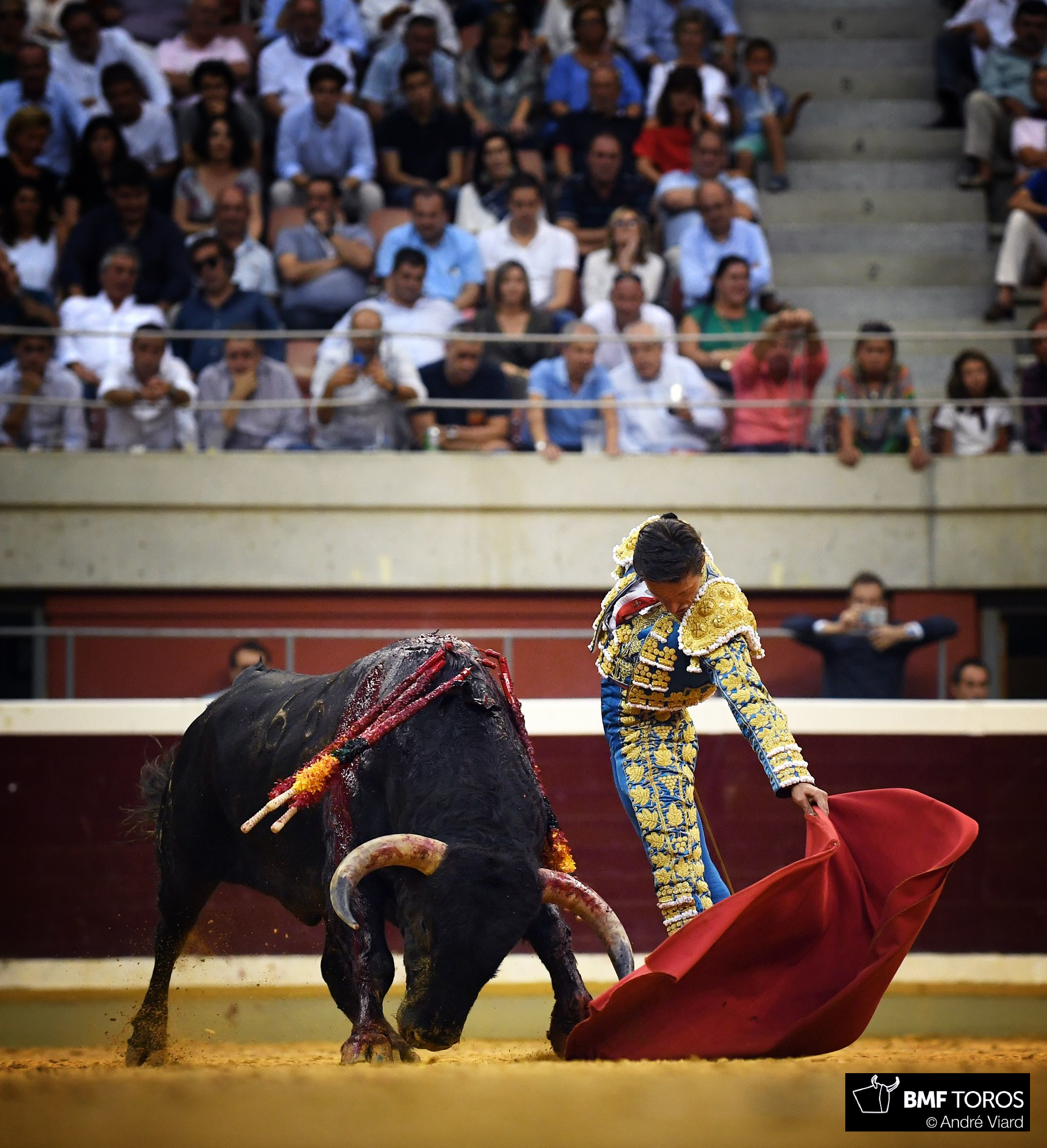 Logroño, 21 de septiembre de 2018