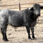 Bayona, 31 de agosto de 2018