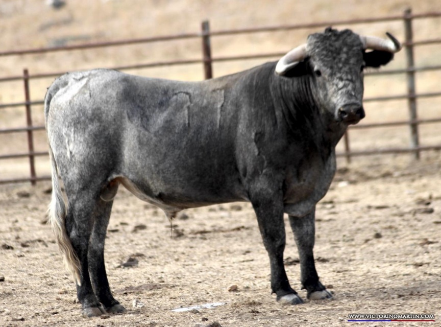 Bayona, 31 de agosto de 2018