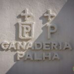 Toros de Palha y Pallarés para el desafío ganadero de Las Ventas del 23 de septiembre de 2018