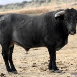 Bayona, 31 de agosto de 2018