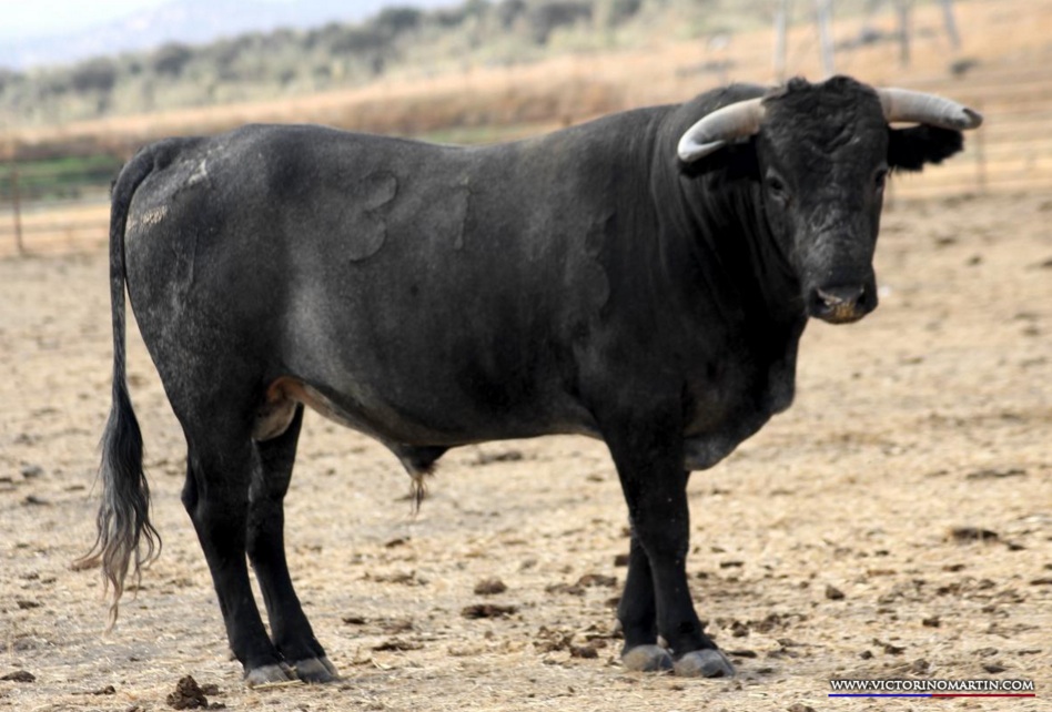 Bayona, 31 de agosto de 2018