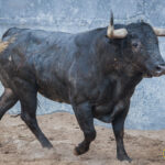 Bayona, 31 de agosto de 2018