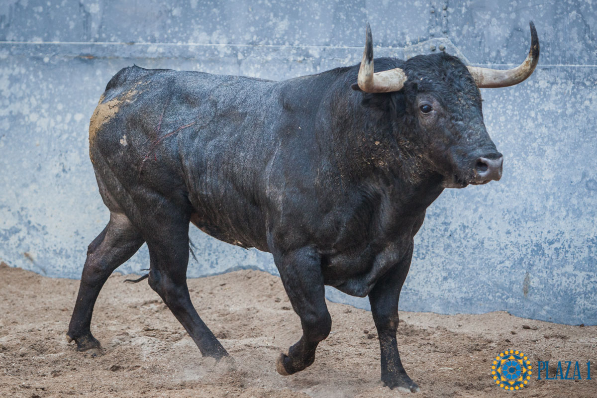 Bayona, 31 de agosto de 2018