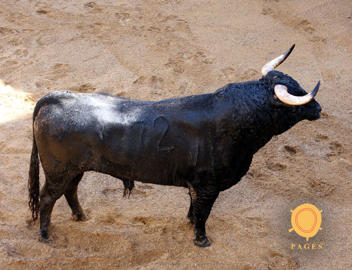 Sevilla - Sorteo - Corrida de toros - Sábado 29 de septiembre de 2018