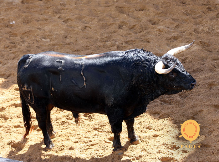 Sevilla - sorteo - Corrida de toros - Domingo 30 de septiembre de 2018