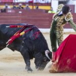 Murcia, 15 de septiembre de 2018