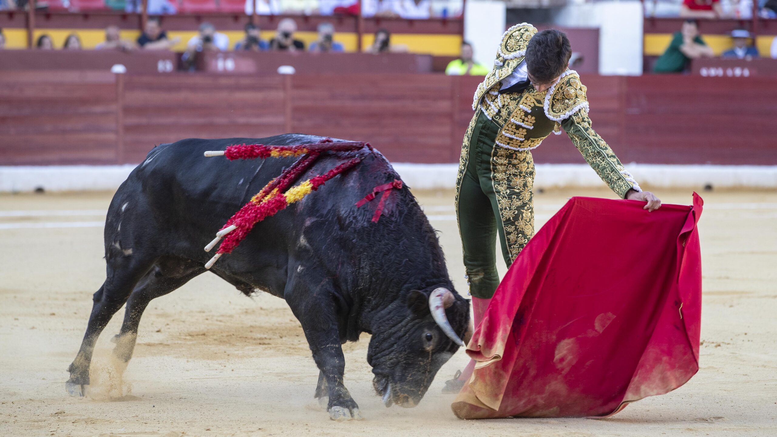 Murcia, 15 de septiembre de 2018
