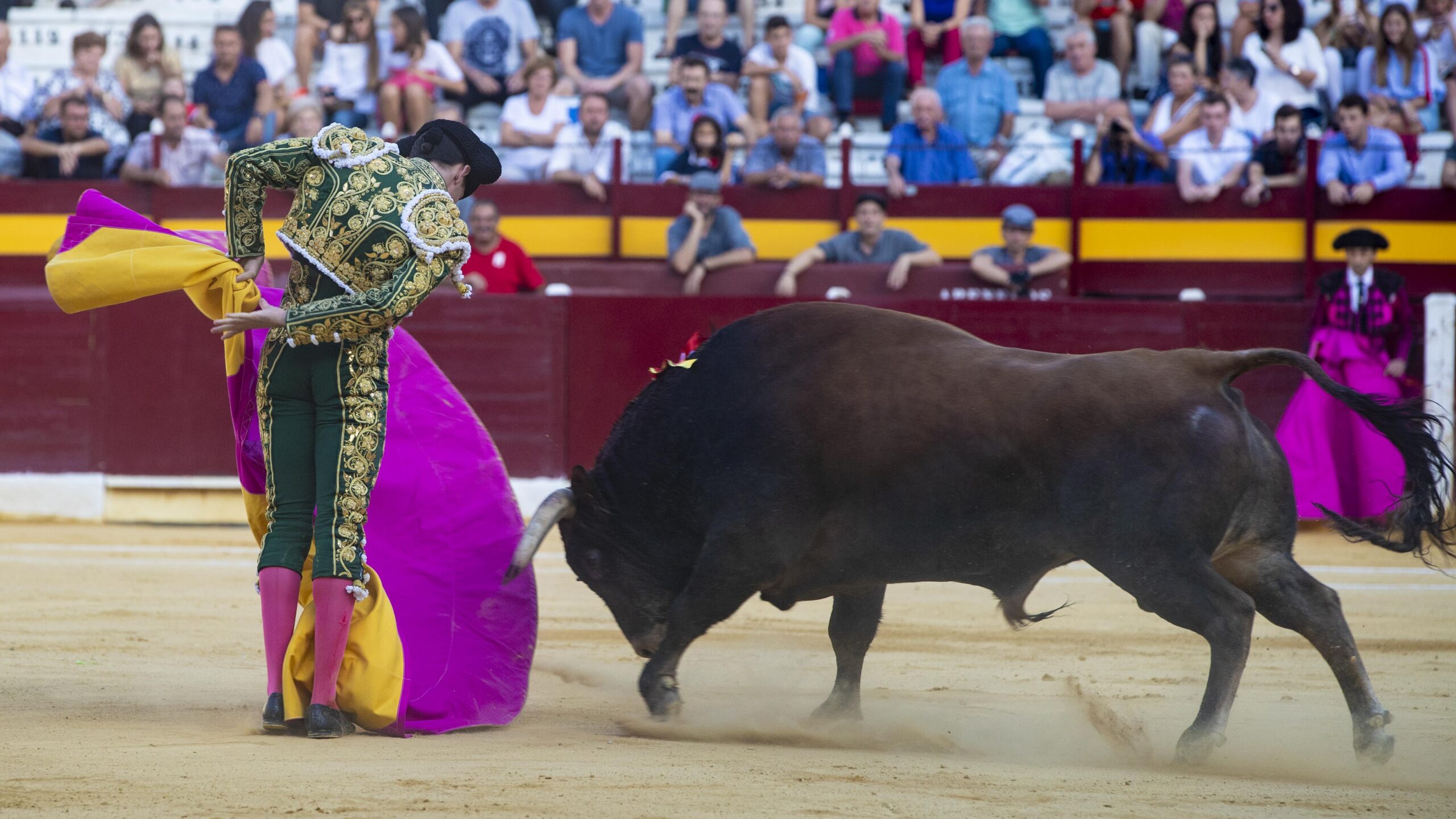 Murcia, 15 de septiembre de 2018