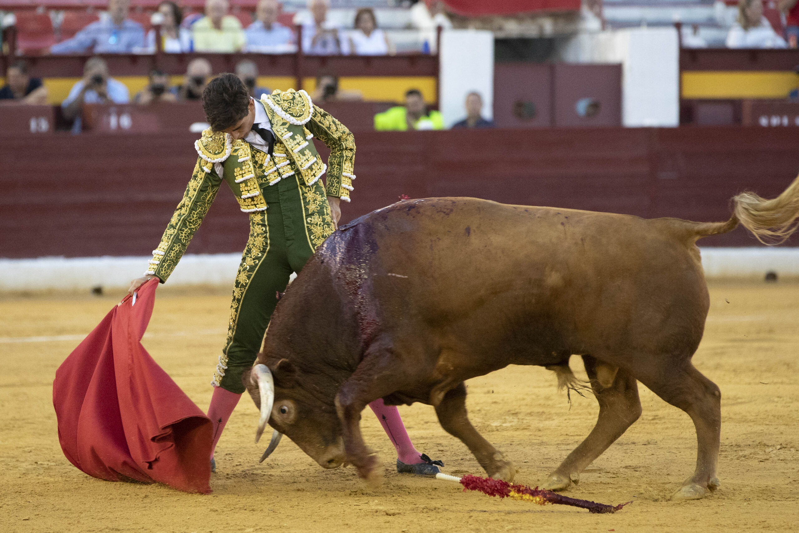 Murcia, 15 de septiembre de 2018