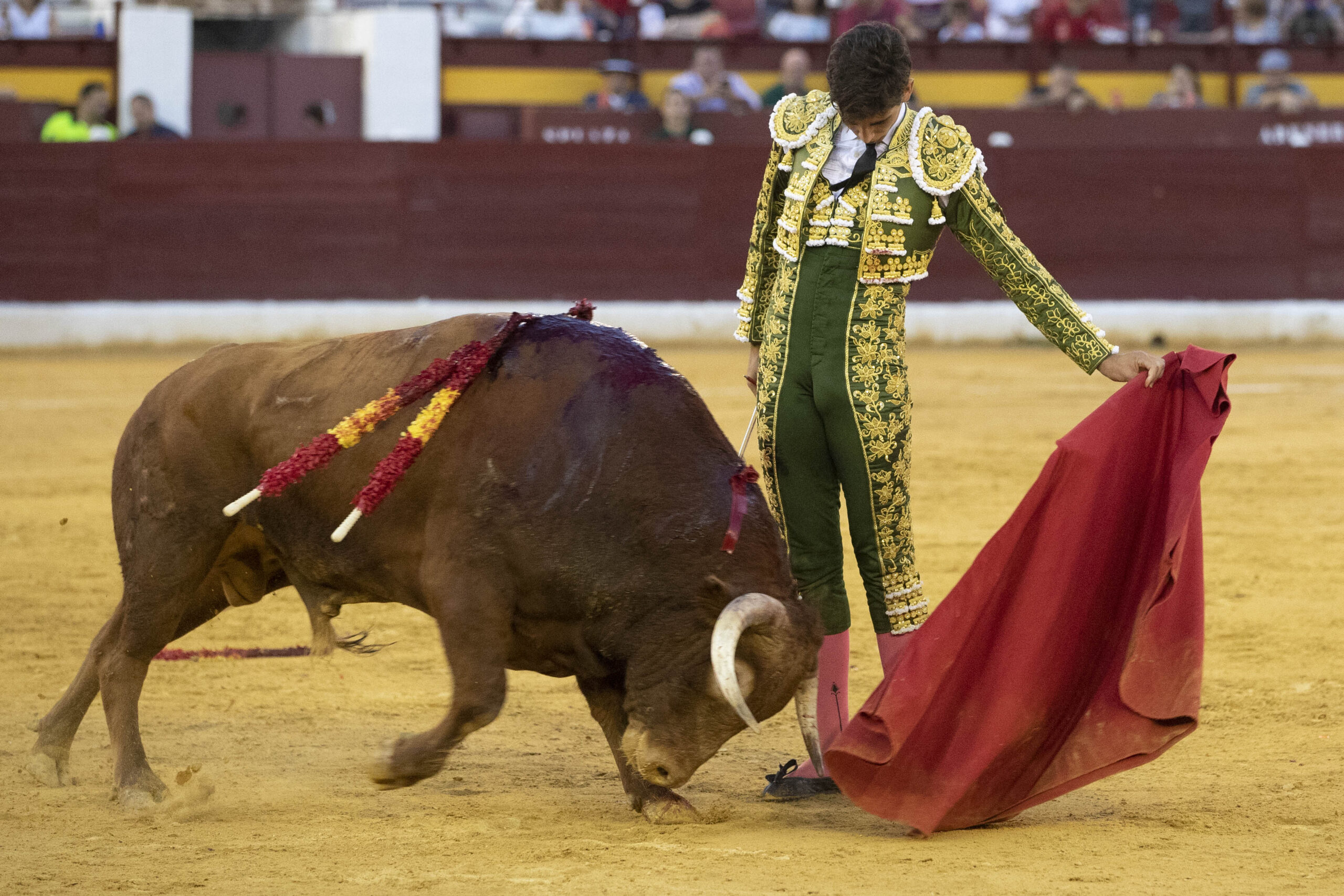 Murcia, 15 de septiembre de 2018