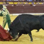 Murcia, 15 de septiembre de 2018