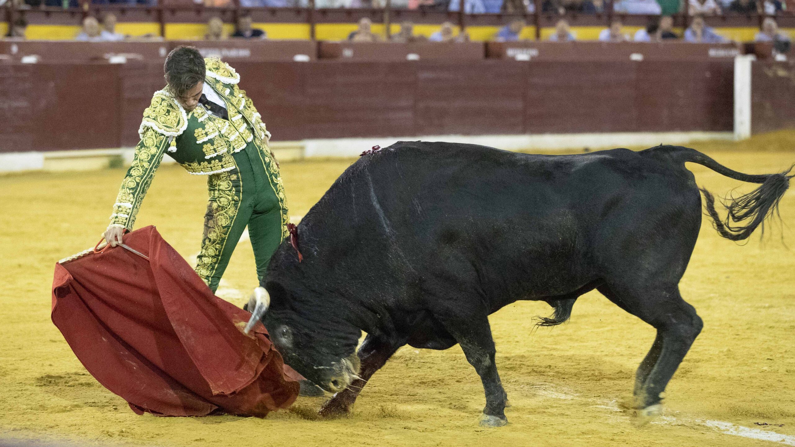 Murcia, 15 de septiembre de 2018