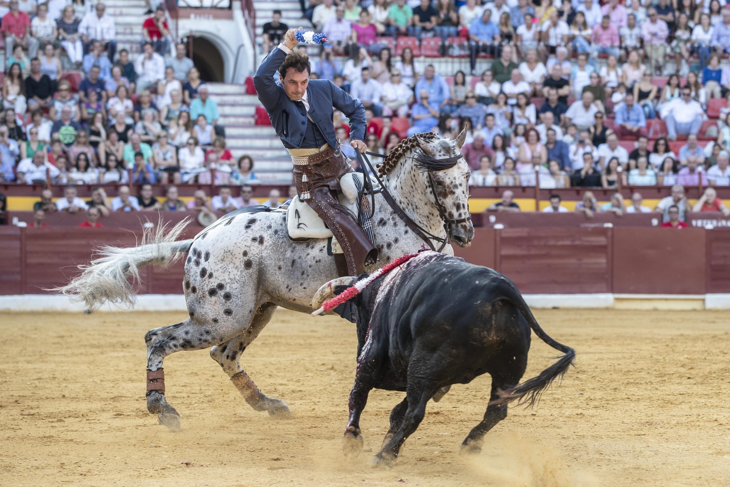 Murcia, 16 de septiembre de 2018