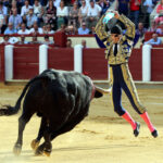 Valladolid - Corrida de toros - Sábado 8 de septiembre de 2018
