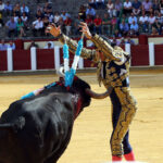 Valladolid - Corrida de toros - Sábado 8 de septiembre de 2018