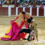Valladolid - Corrida de toros - Sábado 8 de septiembre de 2018