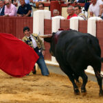 Valladolid - Corrida de toros - Sábado 8 de septiembre de 2018