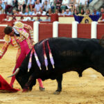 Valladolid - Corrida de toros - Sábado 8 de septiembre de 2018