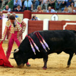 Valladolid - Corrida de toros - Sábado 8 de septiembre de 2018